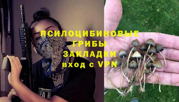 прущий лед Алзамай